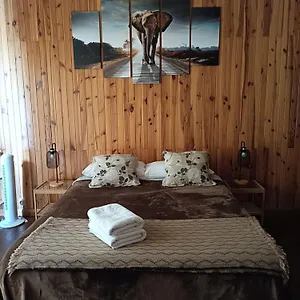 Tenerife Dreams Coffee&bed Auberge de jeunesse